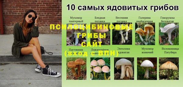 apvp Аркадак