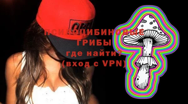 apvp Аркадак