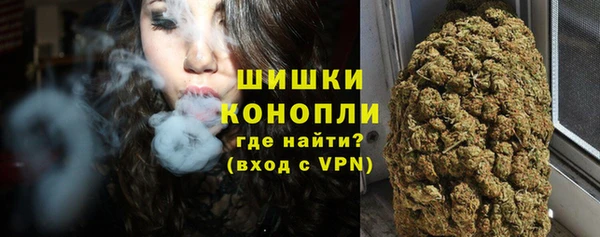 apvp Аркадак